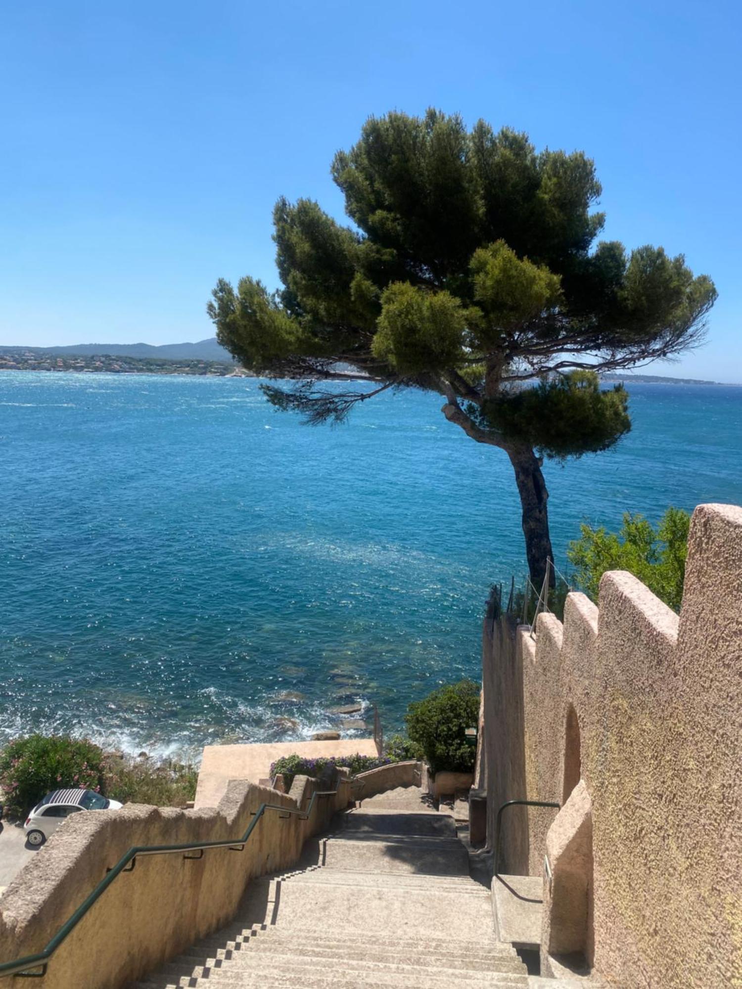 Casa Paloma Lejlighed Sanary-sur-Mer Eksteriør billede